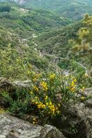 gargantas de Baume, Ardeche, Francia foto