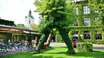 Building with climber plants, ivy growing on the wall. Ecology and green living in city, urban environment concept. photo