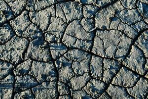 a close up of a cracked ground photo