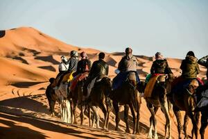 people riding camels in the sahara desert photo