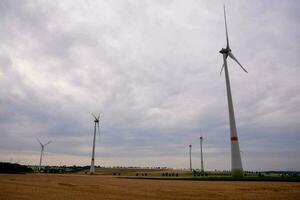 wind turbines in the field photo