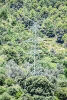 un eléctrico poder línea en el bosque foto