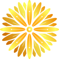 golden flower blossom oriental asia for decoration festival asian culture flat design png