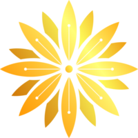 golden flower blossom oriental asia for decoration festival asian culture flat design png