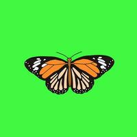 butterfly isolated on white background vector