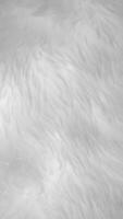 White clean wool texture background. light natural sheep wool. white seamless cotton. texture of fluffy fur for designers. close-up fragment white wool carpet... photo