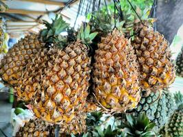 Pineapples or Ananas comosus in the fruit market photo