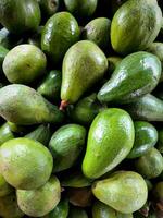 aguacate o persea americana es botánicamente un grande baya conteniendo un soltero semilla. aguacates son muy nutritivo y Contiene un amplio variedad de nutrientes foto