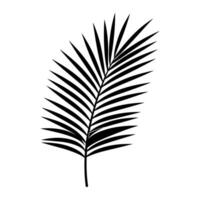 A Palm Tree Leaf Silhouette vector isolated on a white background