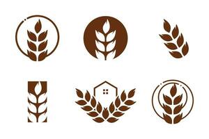 Wheat design element vector icon with creative unique concept idea