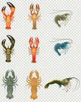 set of shrimp, food vector