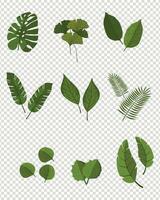 Vector leaves icon set in flat style