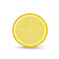un pedazo de mano dibujado limón en aislado blanco antecedentes. Perfecto para textil usado en jugo concepto vector