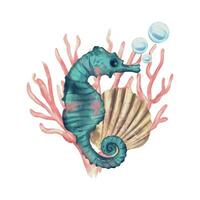 Seahorse, shell, bubbles. Vector sea illustration in watercolor style. Design element for greeting cards, invitations, covers, themed flyers and banners.