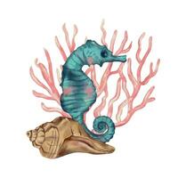 Seahorse, spiral shell, bubbles. Vector sea illustration in watercolor style. Design element for greeting cards, invitations, covers, themed flyers and banners.