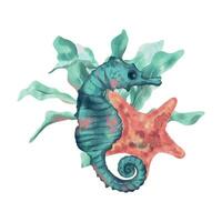 Seahorse, starfish and algae. Vector sea illustration in watercolor style. Design element for greeting cards, invitations, covers, themed flyers and banners.