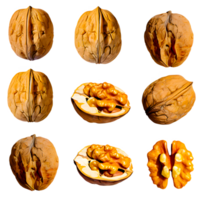 AI generated Walnut sliced isolated on transparent background png