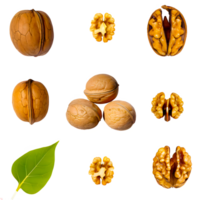 AI generated Walnut sliced isolated on transparent background png