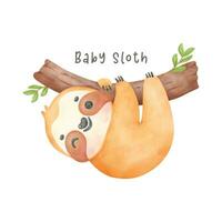 adorable bebé perezoso colgando en árbol dibujos animados acuarela guardería ilustración vector