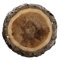 AI generated tree stump isolated on transparent background png