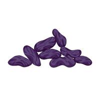 Raisin vector illustration isolated on white background. Ingredient for baking and cooking. Handful of raisins for your design, cookbook, recipe. Cartoon Vector illustration. Purple color.