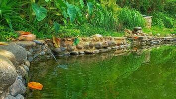 water flowing from pipeline into the pond photo