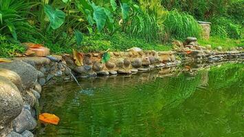 water flowing from pipeline into the pond photo