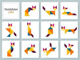 tangram rompecabezas juego para niños. vistoso geométrico colección con aislado gatos en varios posa íconos con mascotas en blanco fondo. vector ilustración