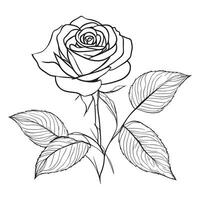 A black and white line art drawing of a rose with leaves on the stem vector