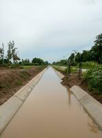 The concrete drainage ditch with the watergate for the irrigation system. photo