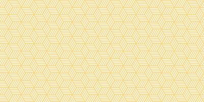 3D Geometric Pattern design vector