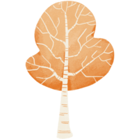 Orange tree clipart, tree element, tree drawing png