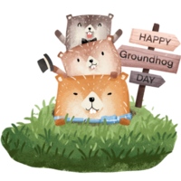 Groundhog in cavity clipart, baby groundhog element, groundhog drawing png