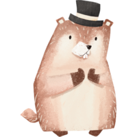 Red groundhog clipart, baby groundhog element, groundhog drawing png