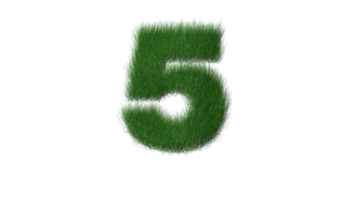 herbe alphabet 5 png transparent Contexte