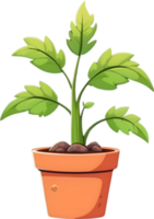 AI generated plant in a pot clipart png