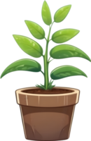 ai generado planta en un maceta clipart png