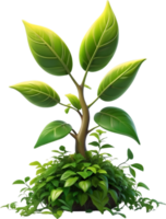 ai generado planta en un maceta clipart png