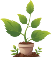 ai generado planta en un maceta clipart png