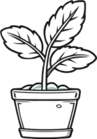 AI generated plant in a pot clipart png