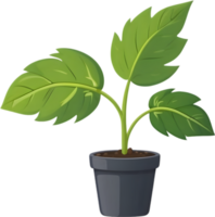 AI generated plant in a pot clipart png