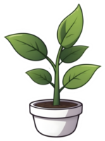 AI generated plant in a pot clipart png
