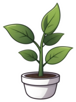 ai generado planta en un maceta clipart png