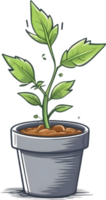 AI generated plant in a pot clipart png