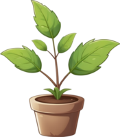 ai generado planta en un maceta clipart png