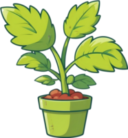 ai generado planta en un maceta clipart png