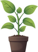 AI generated plant in a pot clipart png