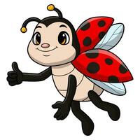 Cute ladybug cartoon on white background vector