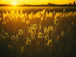 ai generado resumen suave atención puesta de sol campo paisaje de amarillo flores y césped prado calentar dorado hora puesta de sol amanecer tiempo. tranquilo primavera verano naturaleza de cerca y borroso bosque antecedentes. foto