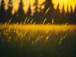 AI generated Abstract soft focus sunset field landscape of yellow flowers and grass meadow warm golden hour sunset sunrise time. Tranquil spring summer nature closeup and blurred forest background. photo